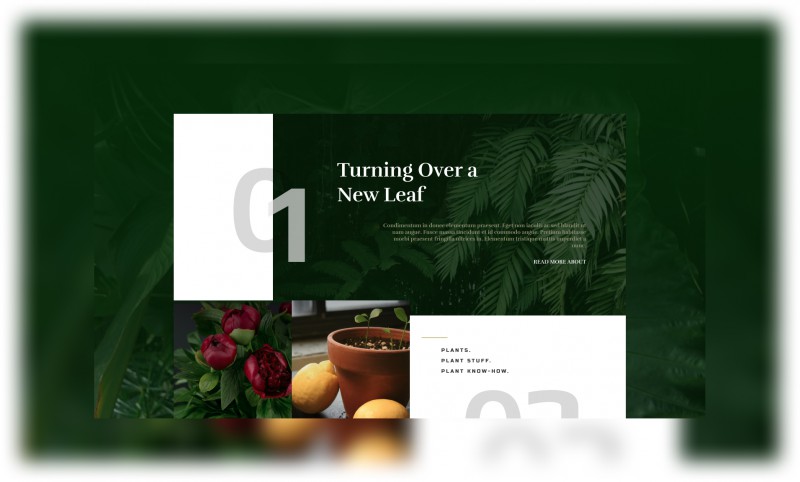 pic4066755.jpg