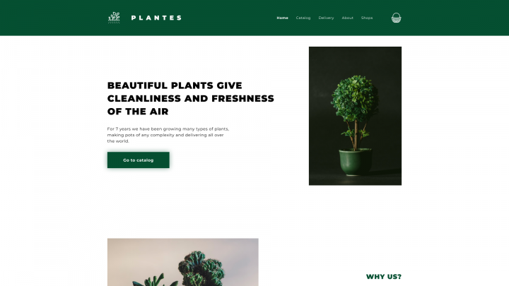 Plantes