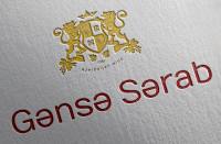 Разработка логотипа "Gence Serab"