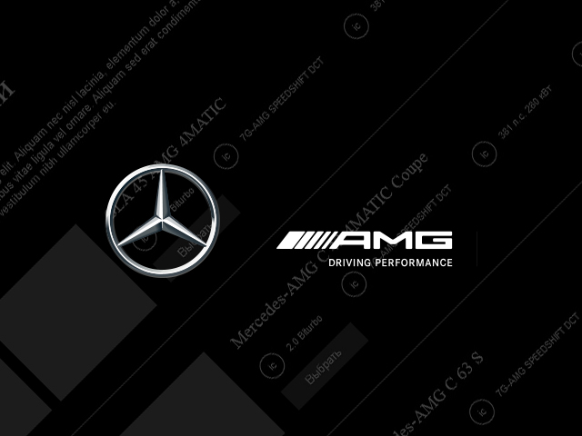 AMG Driving Perfomance