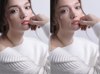 Работа 3009096