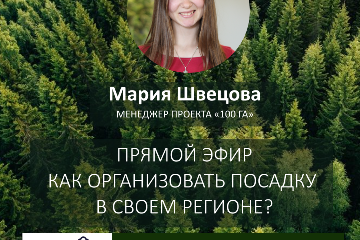 баннер