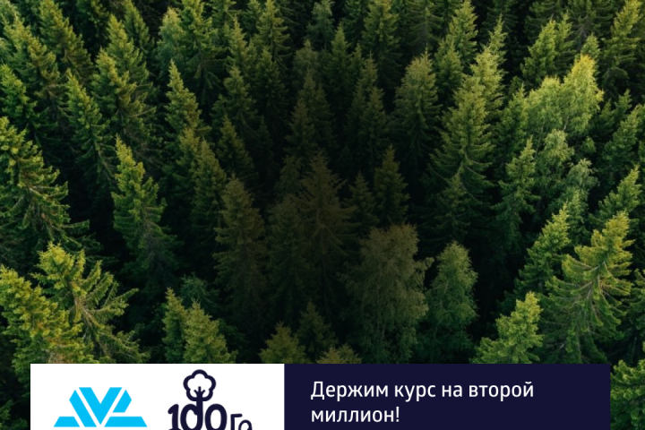 баннер