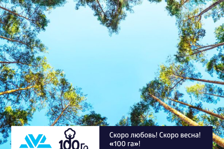 баннер