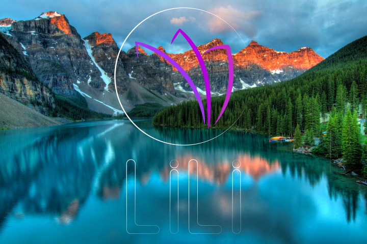 lili косметика