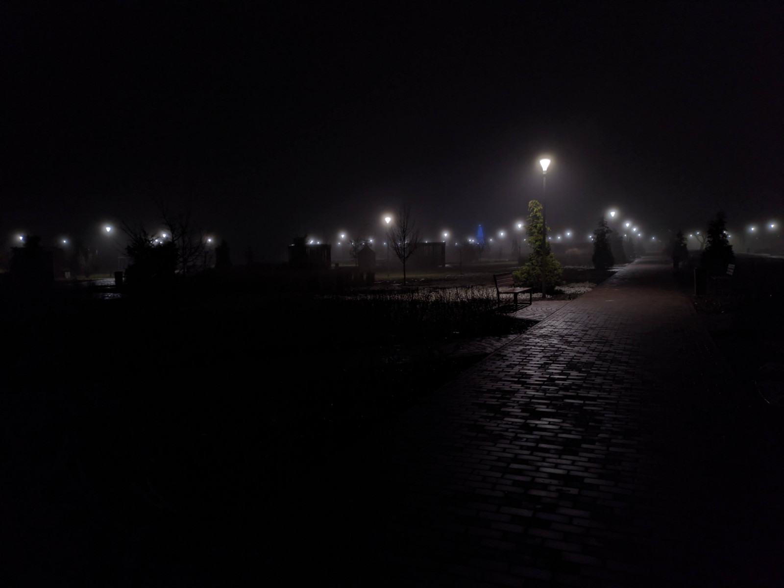 pic4558803.jpg