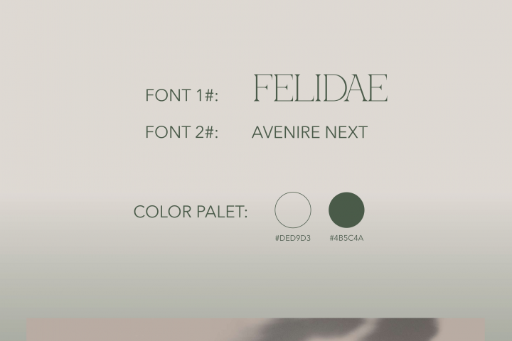 сертификат для фотографа