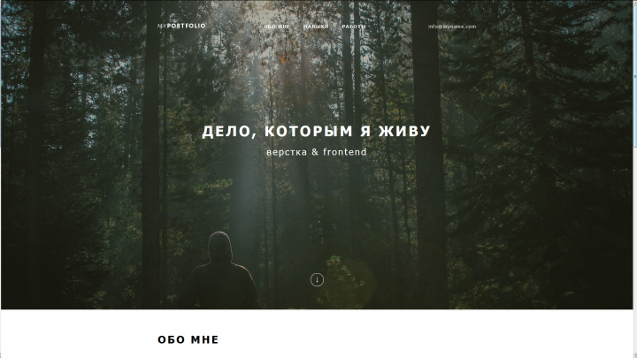 Портфолио