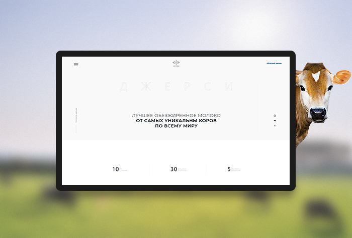 Молоко Джерси