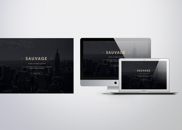 Мужские духи "Sauvage"