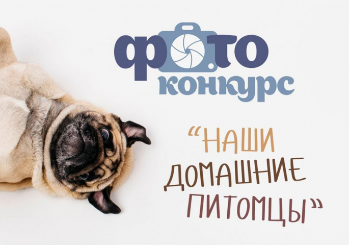 Фотоконкурс