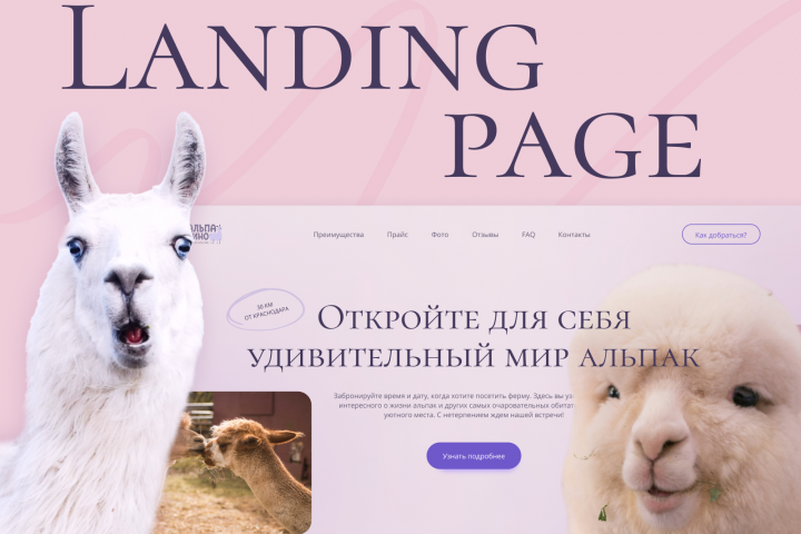 Ферма альпак | Landing Page