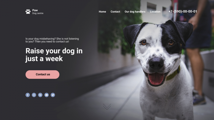 Paw - dog centre