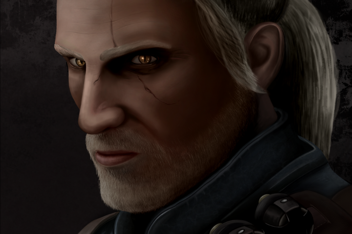 The Witcher