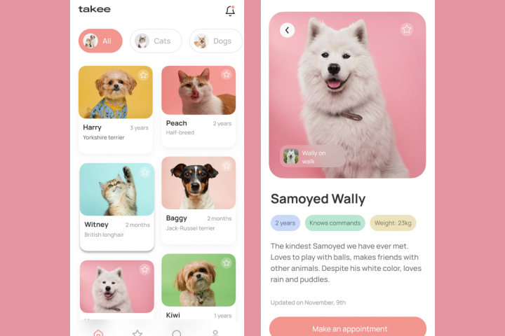 Приложение для усыновления домашних животных
