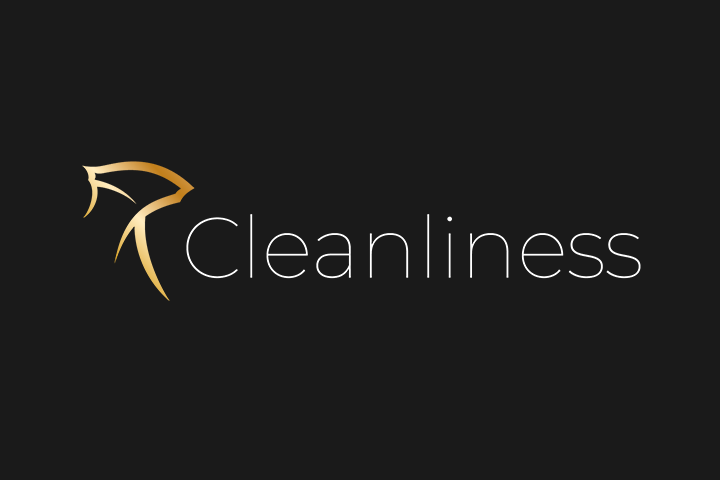 Логотип для клининговой компании "Cleanliness"