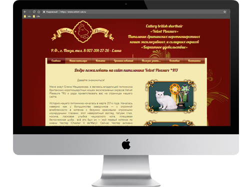Питомник британских кошек Velvet Pleasure *RU