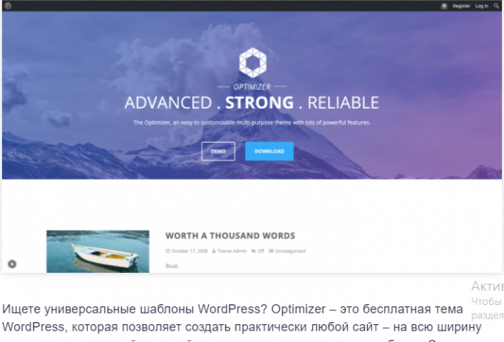 Optimizer