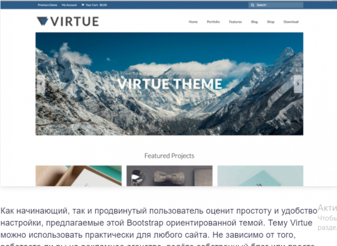 Virtue