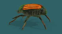 Papilia Japonica (Японский жук)