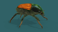 Papilia Japonica (Японский жук)