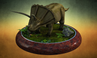 Triceratops
