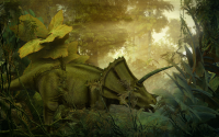 Triceratops