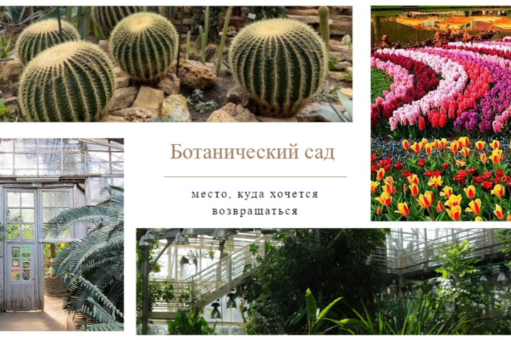 Рекламный ролик для ботанического сада