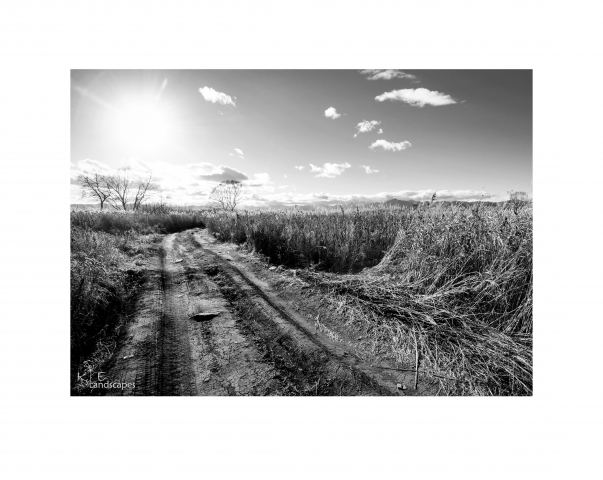 Пейзажная съемка