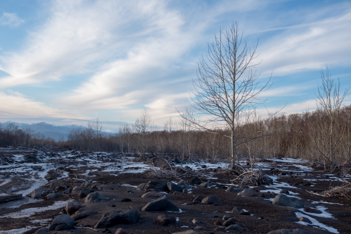 Работа 3669844