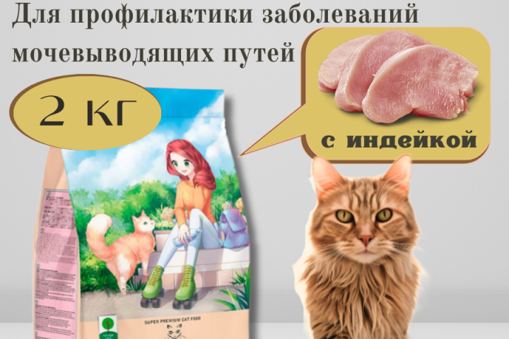Корм для кошек