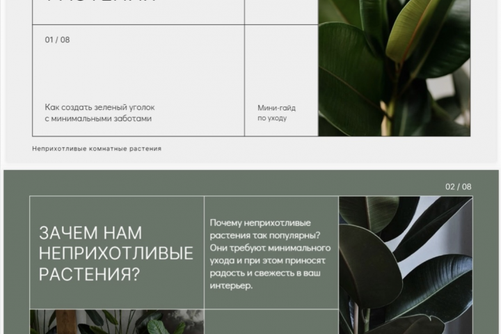 Презентация для цветочного магазина