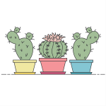 Cactus