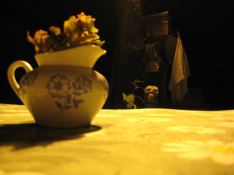 pic1732839.jpg