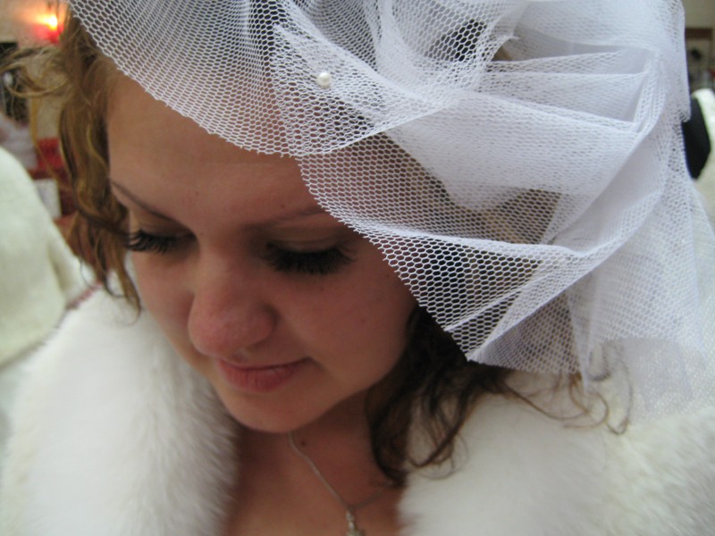 pic1732852.jpg