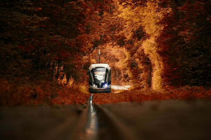 Фото пейзаж
