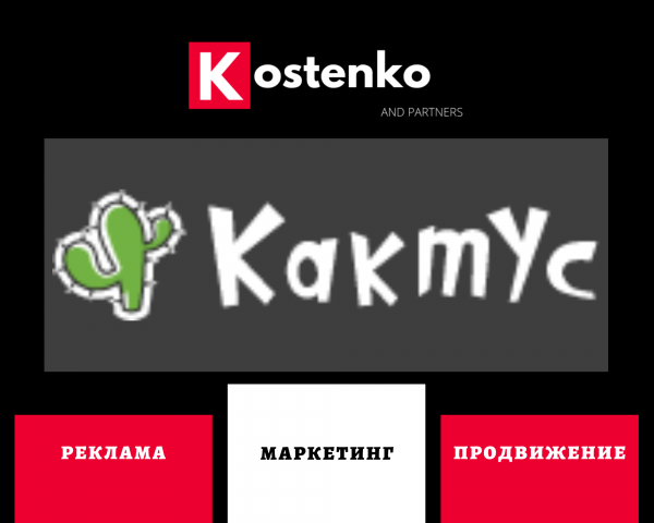 Клиент: Интернет-магазин климатической техники Кактус