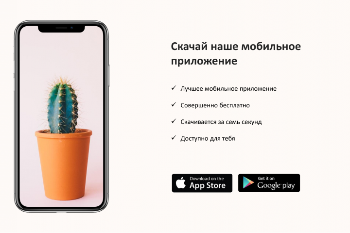 Пример слайдов 1