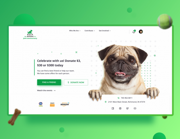 Concept redesign HELP the animals inc. Anniversary