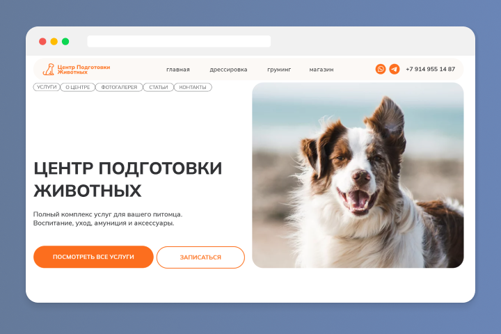 Сайт для компании по услугам для животных
