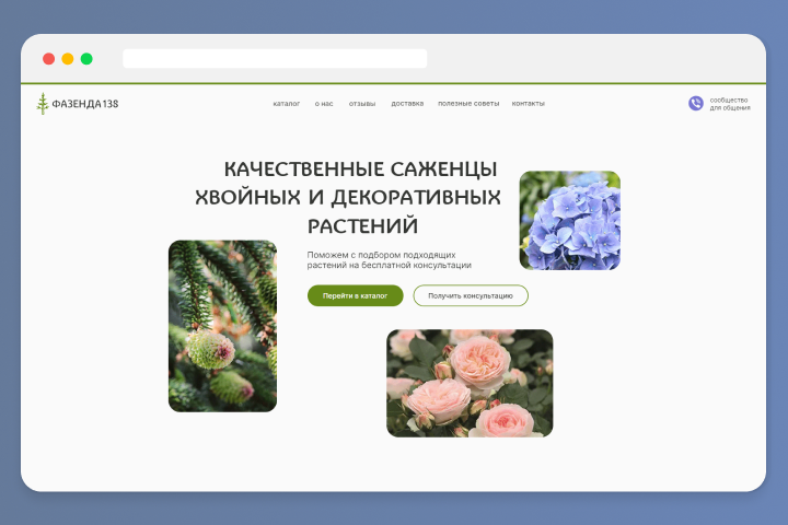 Интернет-магазин продажи саженцев