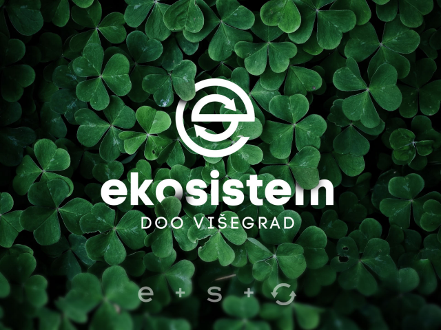 Разработка логотипа "ecosistem"