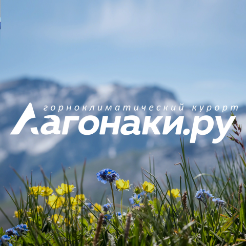 Туристические агентство "Лагонаки"