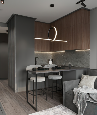 Дизайн-проект однокомнатной квартиры для молодого человека