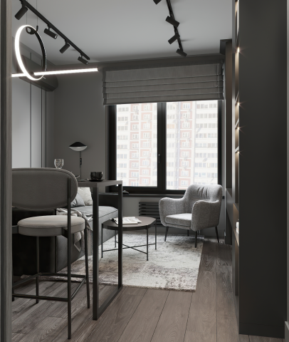 Дизайн-проект однокомнатной квартиры для молодого человека