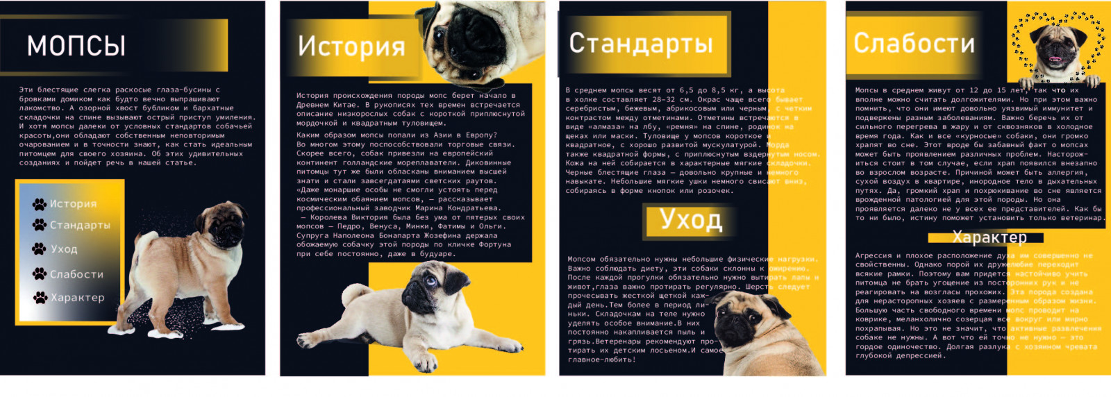 pic4550507.jpg
