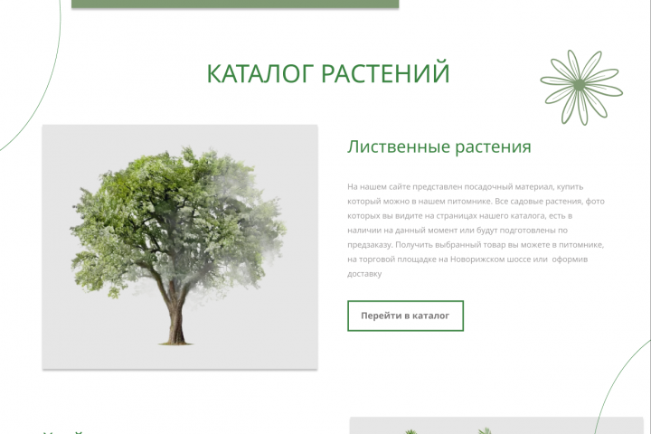 Растения