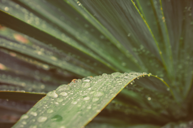 Работа 3151558