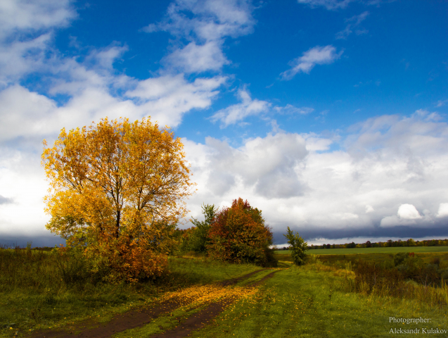 Работа 3151569