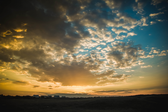 Работа 3151568